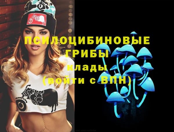 круглые Козловка