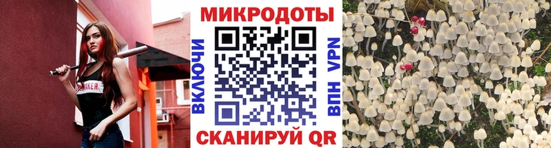 Псилоцибиновые грибы мицелий  Купить  Верхоянск 